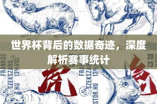 世界杯背后的数据奇迹，深度解析赛事统计