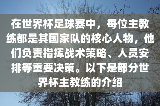 在世界杯足球赛中，每位主教练都是其国家队的核心人物，他们负责指挥战术策略、人员安排等重要决策。以下是部分世界杯主教练的介绍