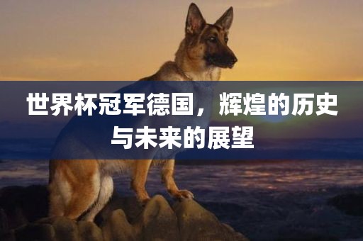 世界杯冠军德国，辉煌的历史与未来的展望