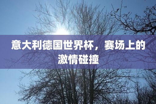 意大利德国世界杯，赛场上的激情碰撞