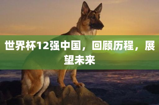 世界杯12强中国，回顾历程，展望未来