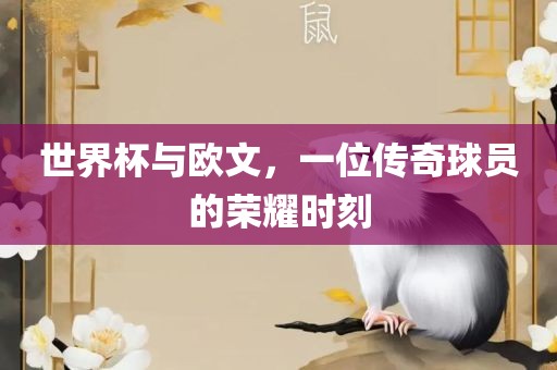 世界杯与欧文，一位传奇球员的荣耀时刻