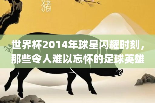 世界杯2014年球星闪耀时刻，那些令人难以忘怀的足球英雄