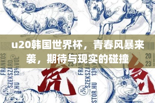 u20韩国世界杯，青春风暴来袭，期待与现实的碰撞