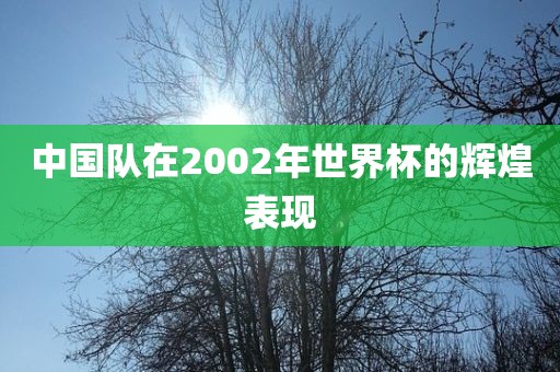 中国队在2002年世界杯的辉煌表现