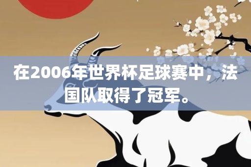 在2006年世界杯足球赛中，法国队取得了冠军。