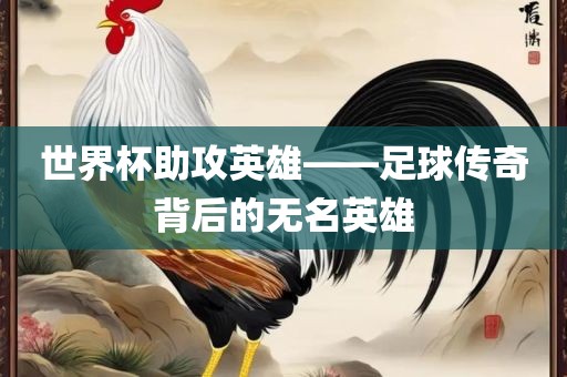 世界杯助攻英雄——足球传奇背后的无名英雄