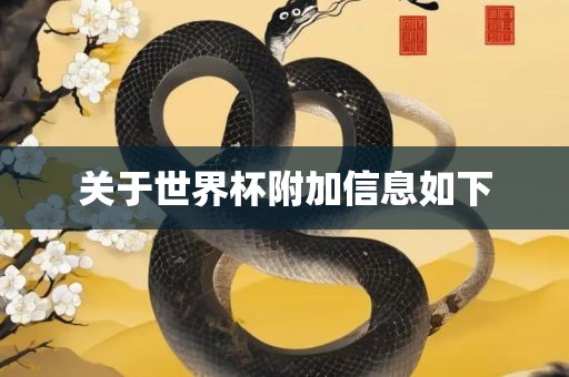 关于世界杯附加信息如下