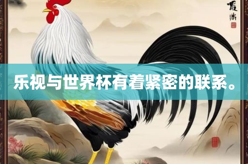 乐视与世界杯有着紧密的联系。