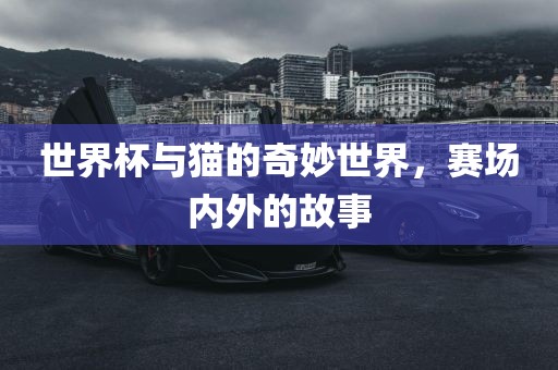 世界杯与猫的奇妙世界，赛场内外的故事