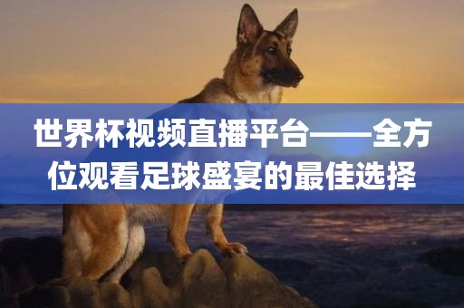 世界杯视频直播平台——全方位观看足球盛宴的最佳选择