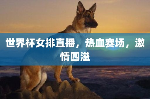 世界杯女排直播，热血赛场，激情四溢