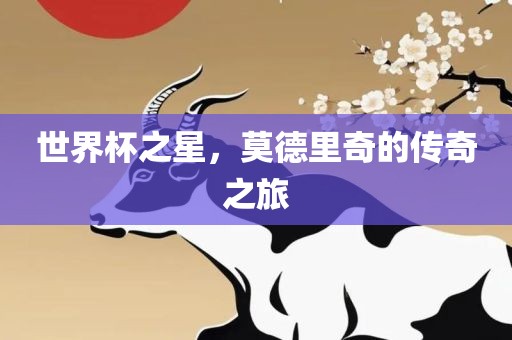 世界杯之星，莫德里奇的传奇之旅