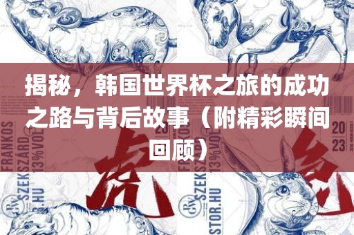 揭秘，韩国世界杯之旅的成功之路与背后故事（附精彩瞬间回顾）