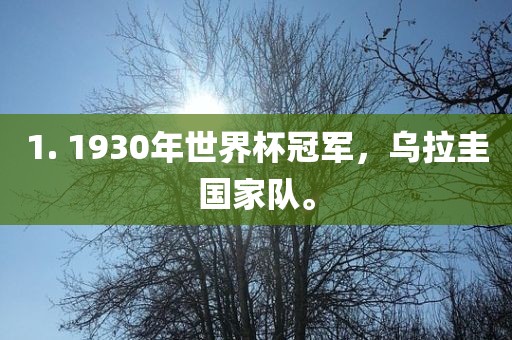 1. 1930年世界杯冠军，乌拉圭国家队。