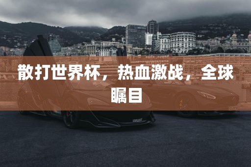 散打世界杯，热血激战，全球瞩目