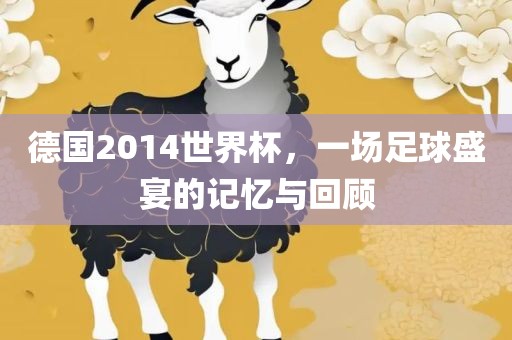 德国2014世界杯，一场足球盛宴的记忆与回顾