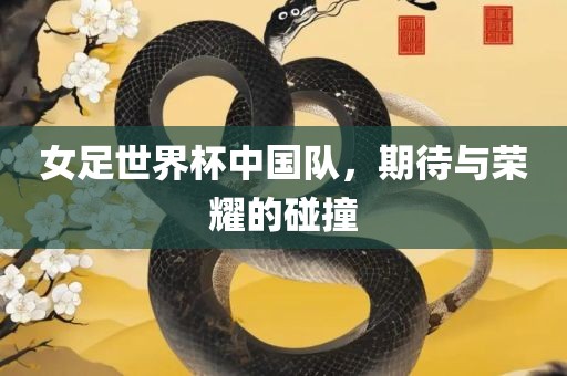 女足世界杯中国队，期待与荣耀的碰撞