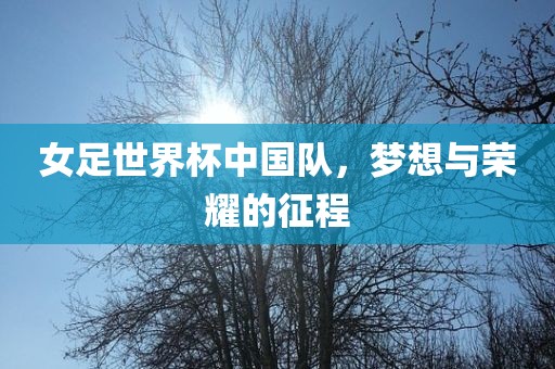 女足世界杯中国队，梦想与荣耀的征程