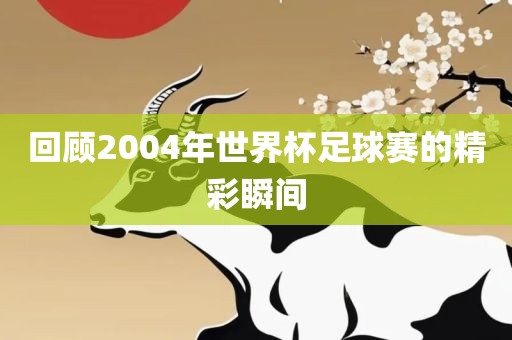 回顾2004年世界杯足球赛的精彩瞬间