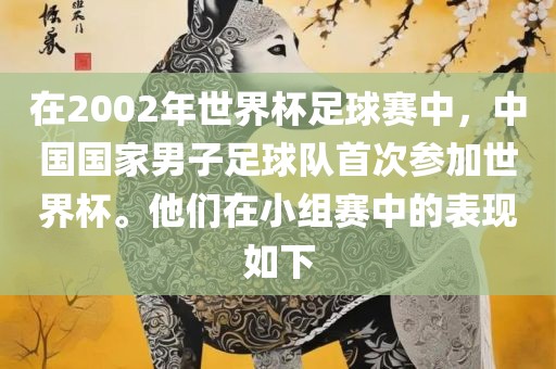 在2002年世界杯足球赛中，中国国家男子足球队首次参加世界杯。他们在小组赛中的表现如下
