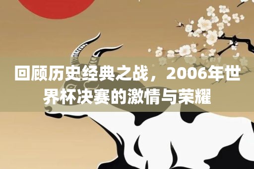 回顾历史经典之战，2006年世界杯决赛的激情与荣耀