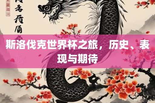 斯洛伐克世界杯之旅，历史、表现与期待