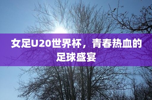 女足U20世界杯,青春热血的足球盛宴
