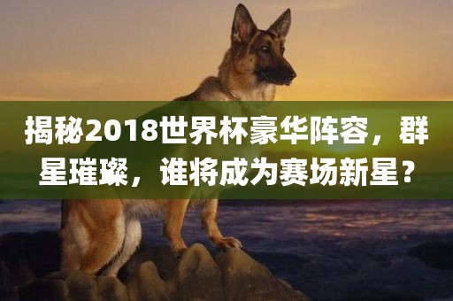 揭秘2018世界杯豪华阵容，群星璀璨，谁将成为赛场新星？