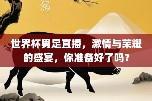 世界杯男足直播，激情与荣耀的盛宴，你准备好了吗？