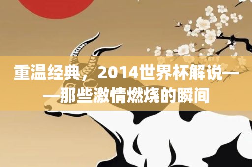 重温经典，2014世界杯解说——那些激情燃烧的瞬间