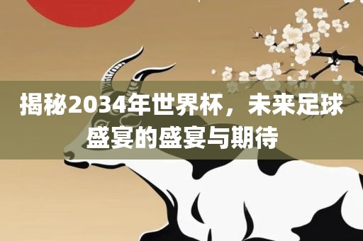 揭秘2034年世界杯，未来足球盛宴的盛宴与期待