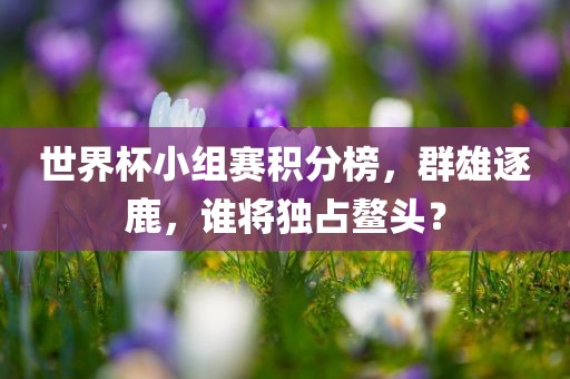 世界杯小组赛积分榜，群雄逐鹿，谁将独占鳌头？