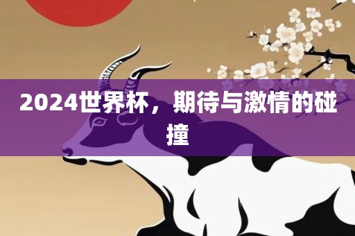 2024世界杯，期待与激情的碰撞