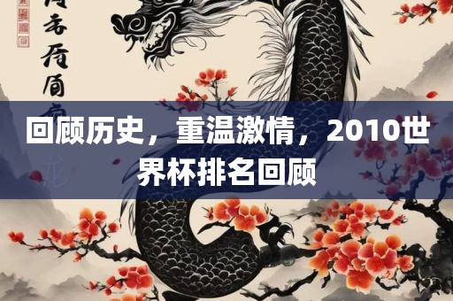 回顾历史,重温激情,2010世界杯排名回顾