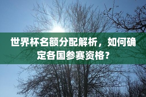 世界杯名额分配解析,如何确定各国参赛资格?