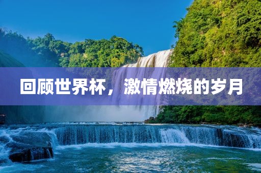 回顾世界杯，激情燃烧的岁月