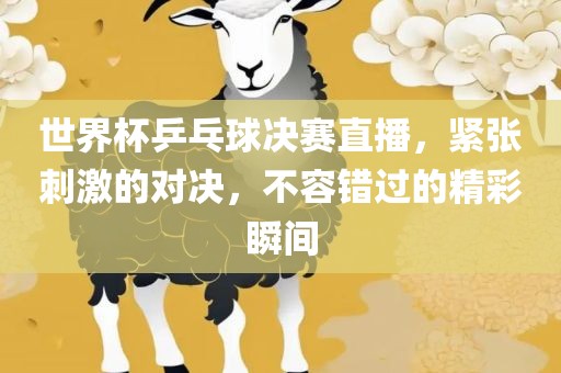 世界杯乒乓球决赛直播，紧张刺激的对决，不容错过的精彩瞬间
