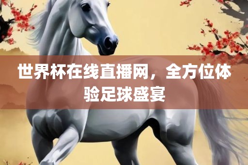 世界杯在线直播网，全方位体验足球盛宴