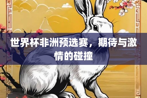 世界杯非洲预选赛，期待与激情的碰撞