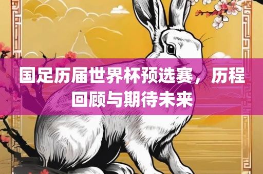 国足历届世界杯预选赛,历程回顾与期待未来