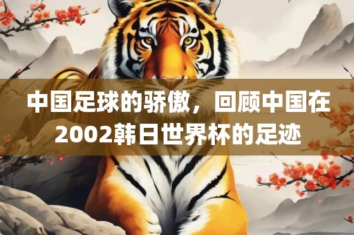 中国足球的骄傲，回顾中国在2002韩日世界杯的足迹