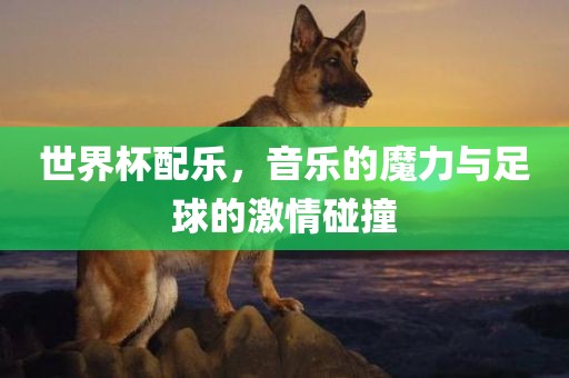 世界杯配乐，音乐的魔力与足球的激情碰撞