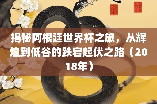 揭秘阿根廷世界杯之旅，从辉煌到低谷的跌宕起伏之路（2018年）