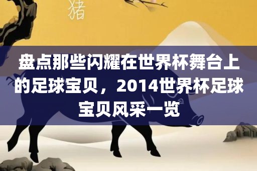 盘点那些闪耀在世界杯舞台上的足球宝贝，2014世界杯足球宝贝风采一览