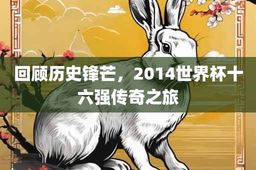 回顾历史锋芒，2014世界杯十六强传奇之旅