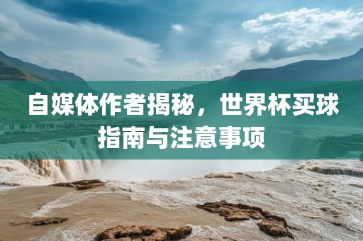 自媒体作者揭秘,世界杯买球指南与注意事项
