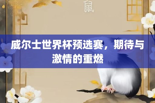 威尔士世界杯预选赛，期待与激情的重燃