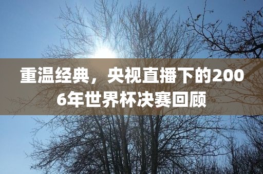 重温经典，央视直播下的2006年世界杯决赛回顾