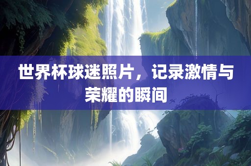 世界杯球迷照片，记录激情与荣耀的瞬间